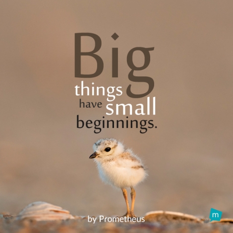 Big things have small beginnings.