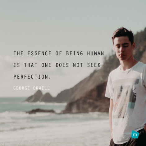 The essence of being human is that one does not seek perfection.