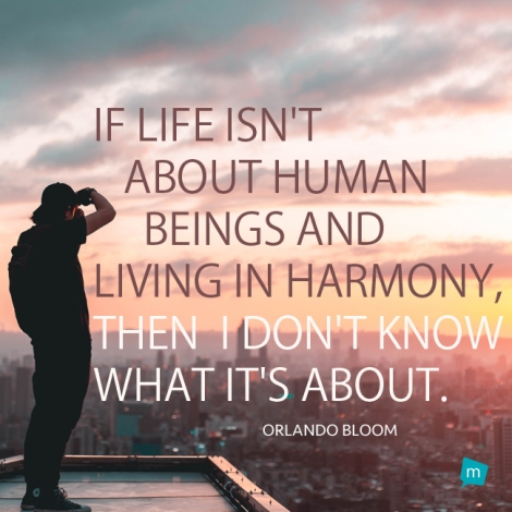 If life isn't about human beings and living in harmony, then I don't...